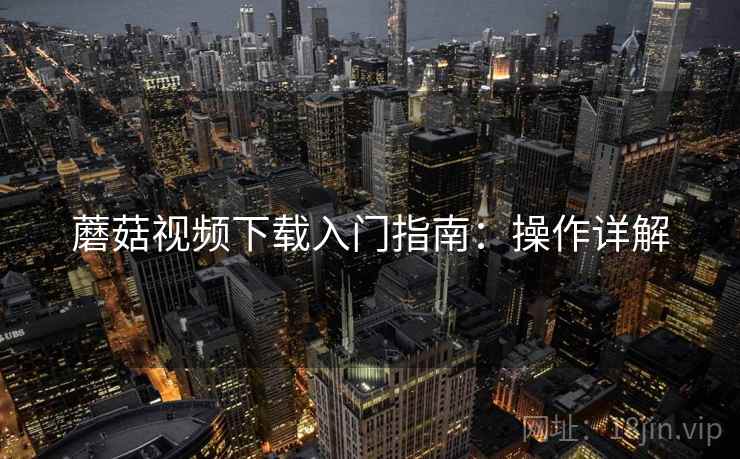 蘑菇视频下载入门指南：操作详解