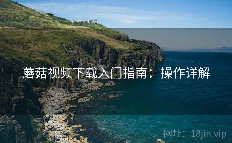 蘑菇视频下载入门指南：操作详解
