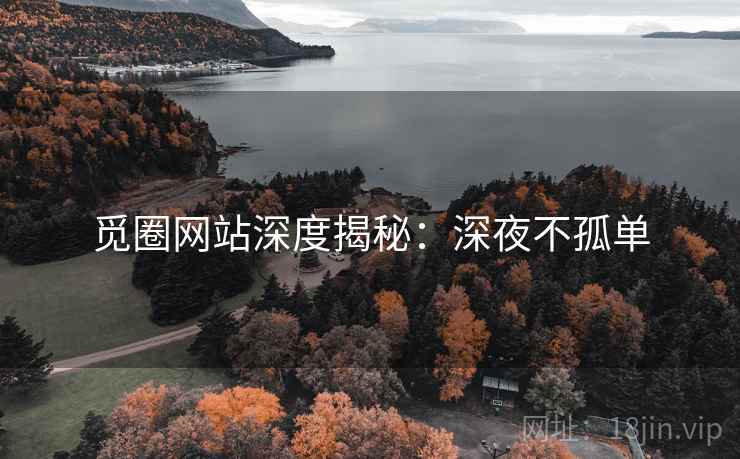 觅圈网站深度揭秘：深夜不孤单