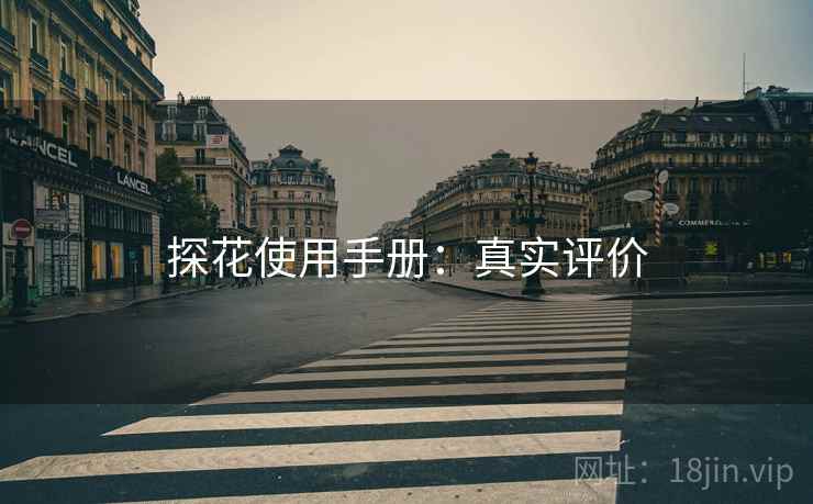 探花使用手册：真实评价