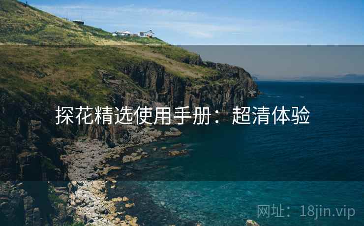 探花精选使用手册：超清体验