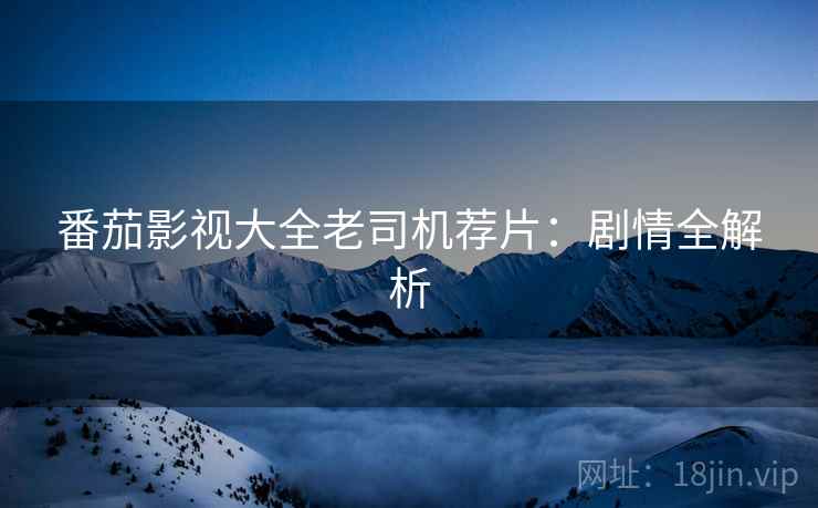 番茄影视大全老司机荐片：剧情全解析