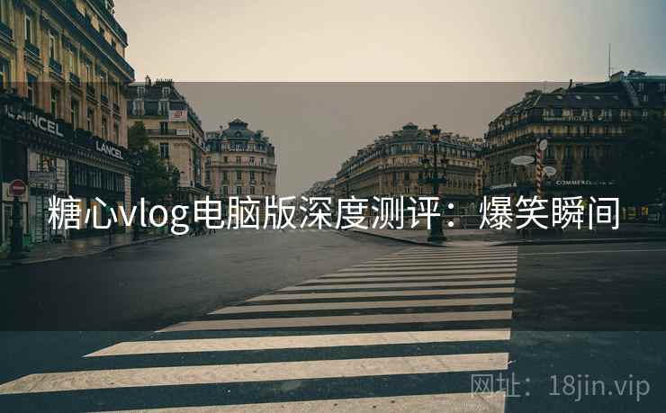 糖心vlog电脑版深度测评：爆笑瞬间