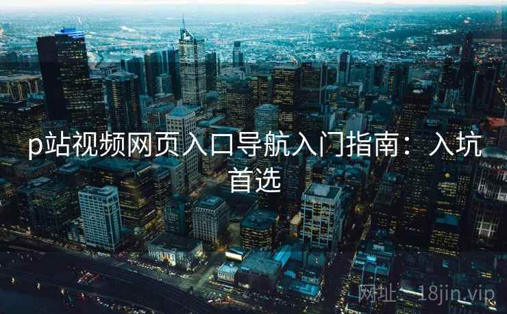 p站视频网页入口导航入门指南：入坑首选