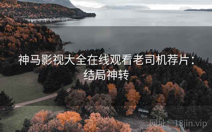 神马影视大全在线观看老司机荐片：结局神转